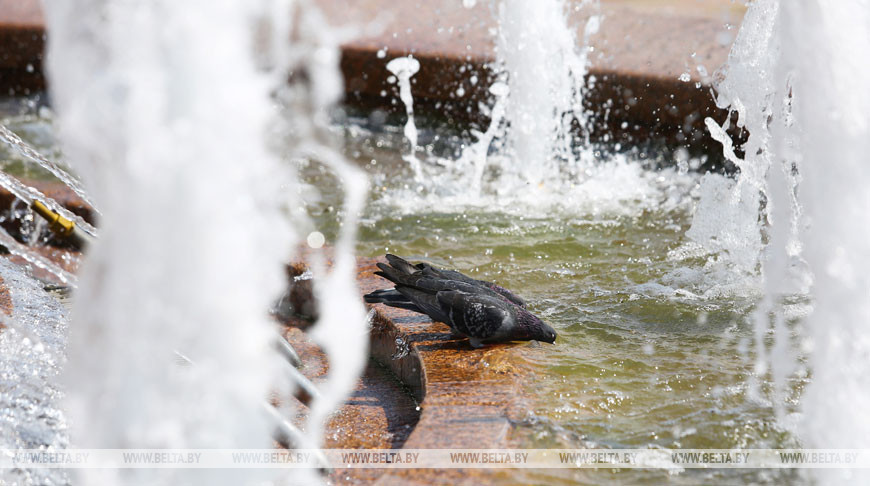 Фото из архива