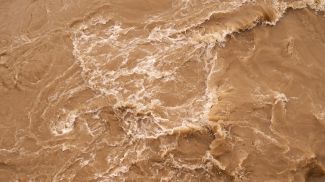 Фото Unsplash