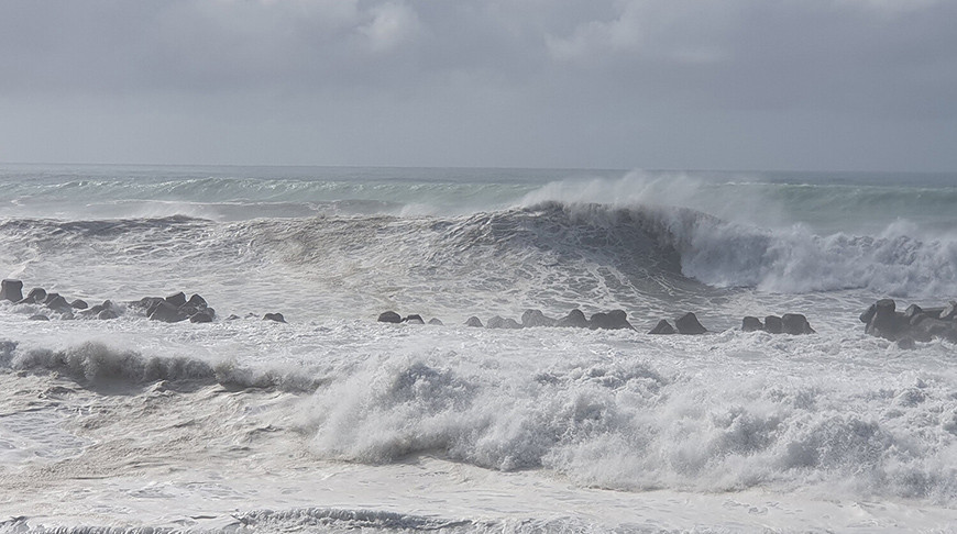 Фото Shutterstock