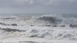 Фото Shutterstock