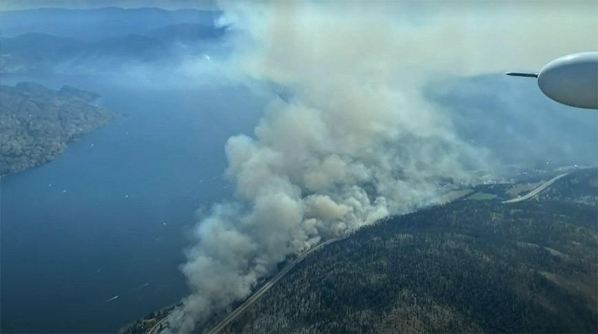 Скриншот видео ctvnews.ca