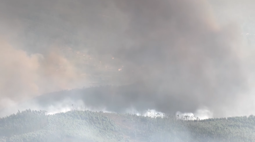 Скриншот видео Reuters