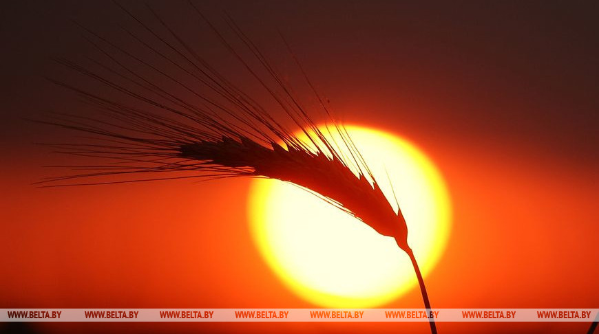 Фото из архива