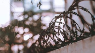 Фото Pexels