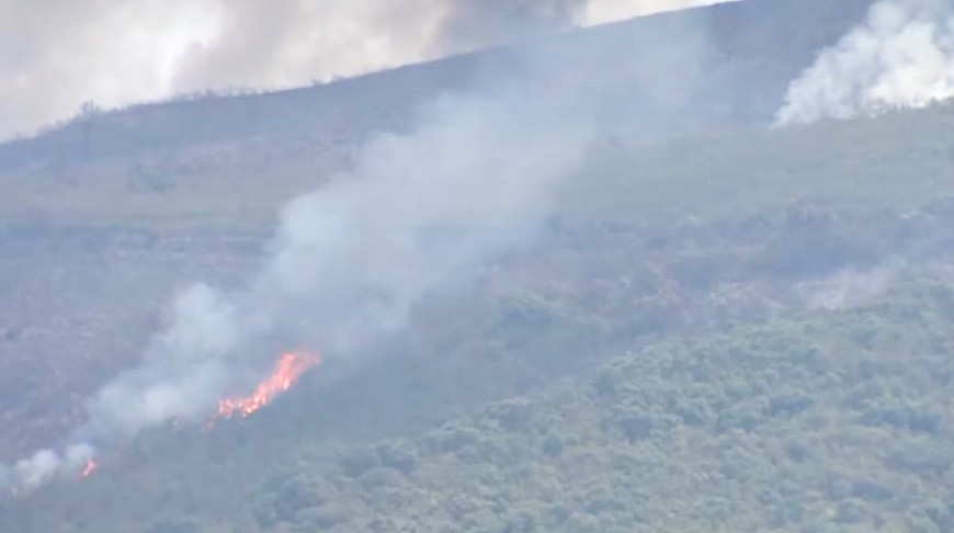 Скриншот видео euronews.com