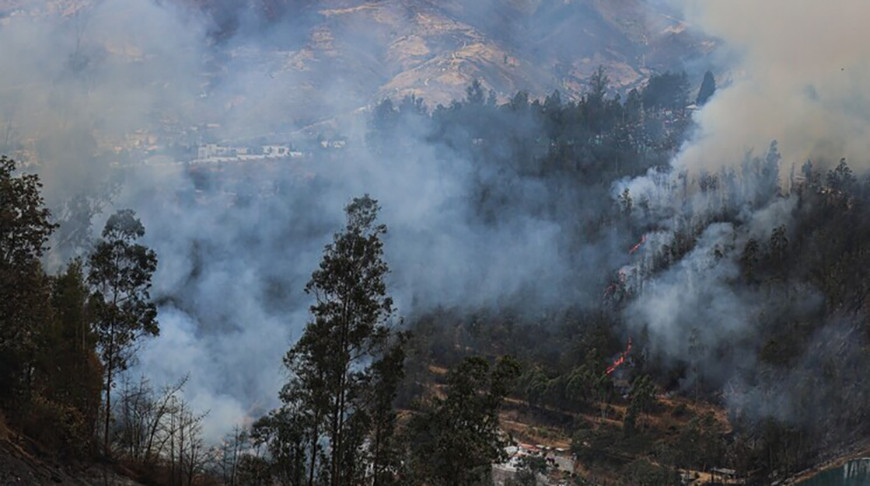 Фото Global Look Press