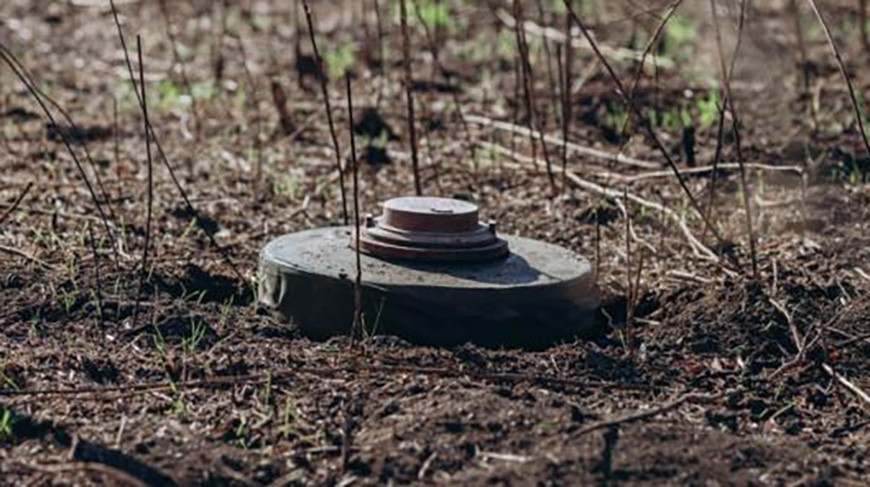 Фото Shutterstock/FOTODOM