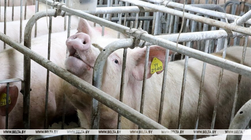 Фото из архива