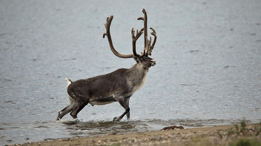 Фото из архива  РИА Новости 