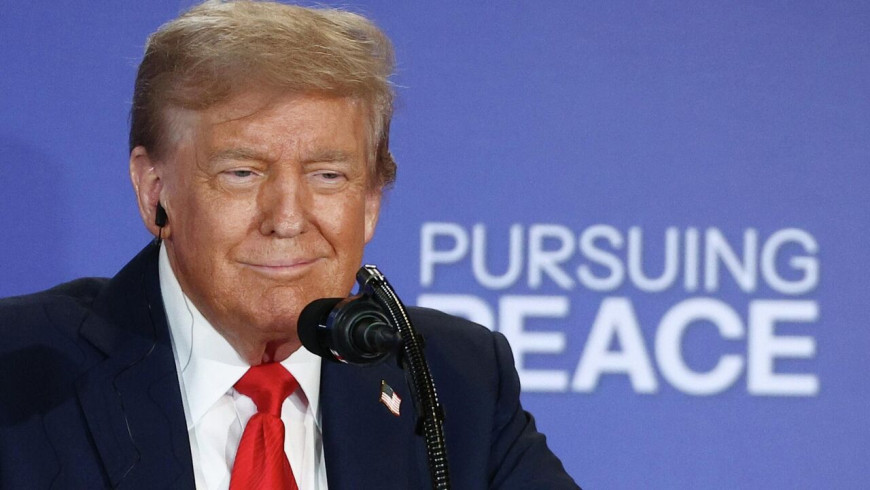 Дональд Трамп. Фото  РИА Новости 