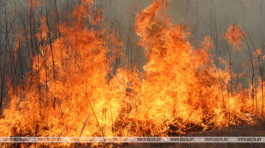 Фото из архива