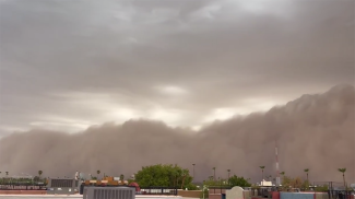 Скриншот видео РИА Новости