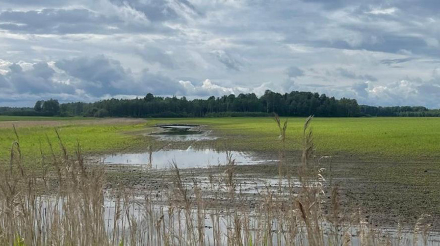 Фото Министерства сельского хозяйства Латвии
