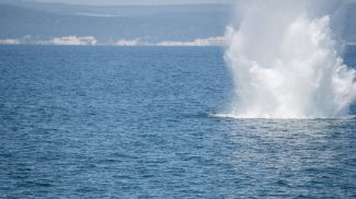 Фото Getty Images