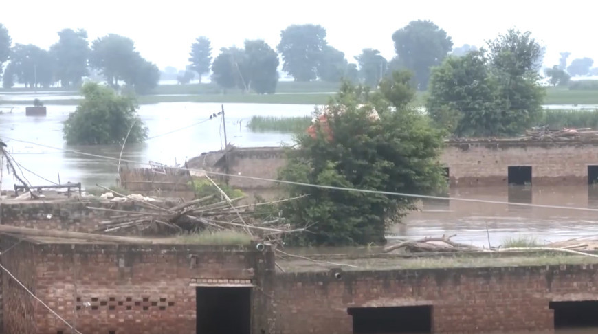 Скриншот видео ТАСС