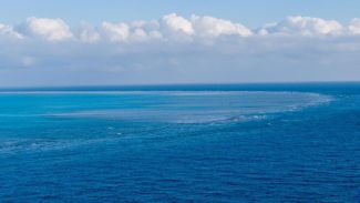 Фото Синьхуа