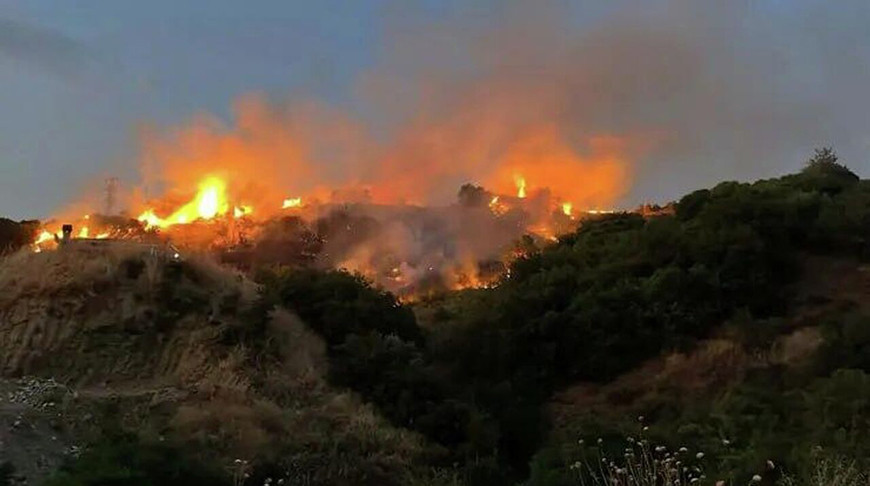 Фото из социальных сетей