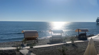 Скриншот видео ТАСС