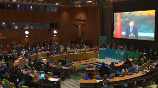 Скриншот видео un.org