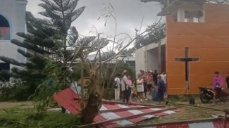 Скриншот видео ViralPress