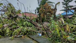 Фото Синьхуа