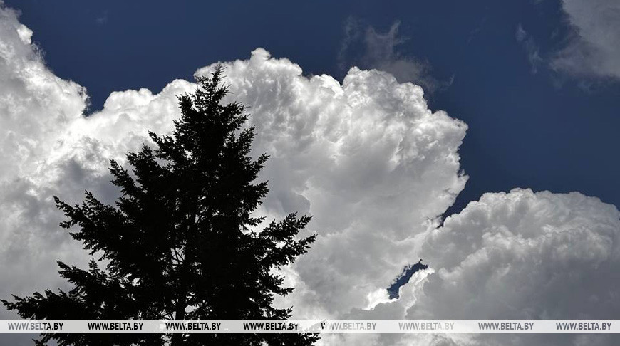 Фото из архива