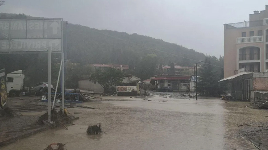 Фото btvnovinite.bg