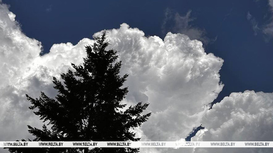 Фото из архива