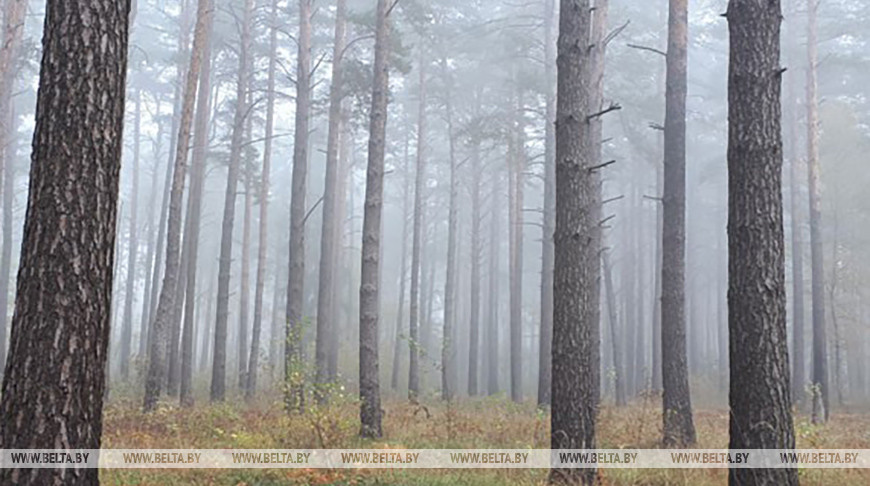 Фото из архива