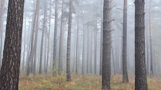 Фото из архива