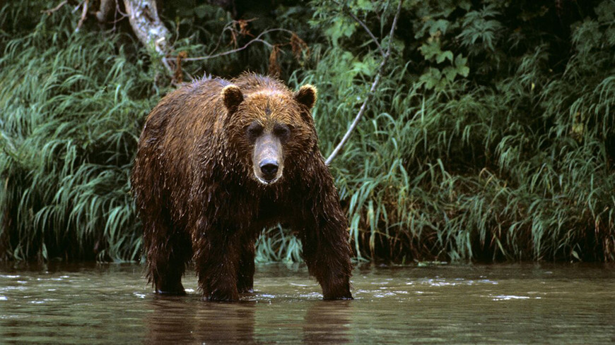 Фото  РИА Новости 