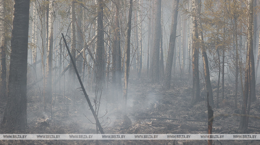 Фото из архива