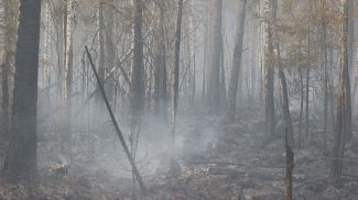 Фото из архива