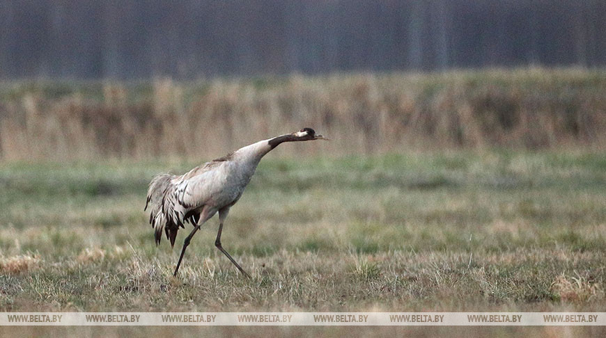 Фото из архива