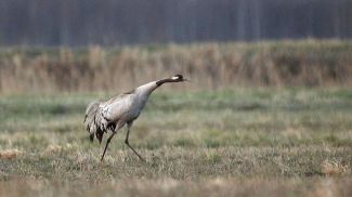 Фото из архива