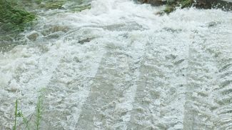 Фото из архива