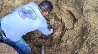 Фото Tribuna de México