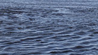 Фото из архива