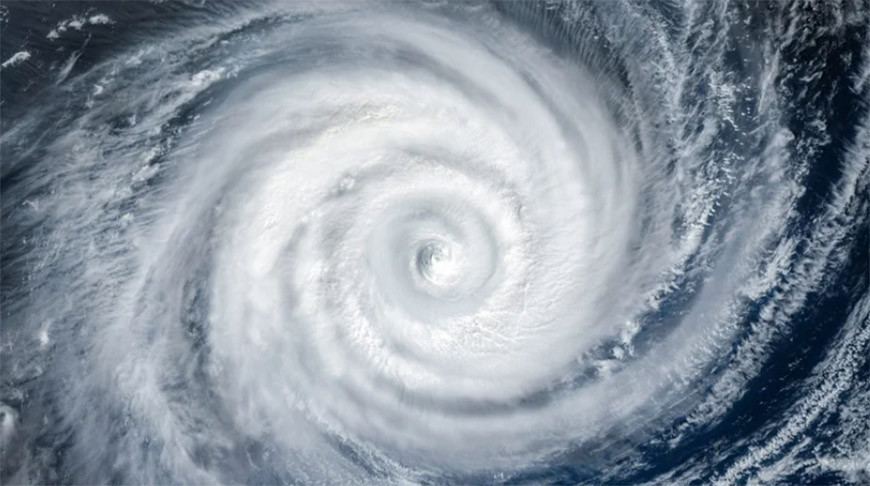 Фото Shutterstock