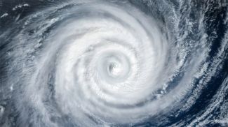 Фото Shutterstock