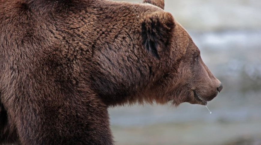 Фото globallookpress.com