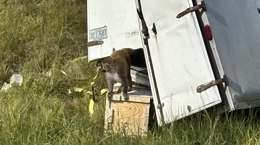 Фото полиции