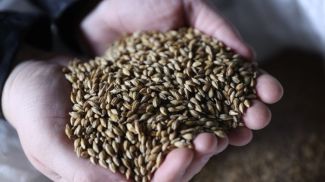 Фото из архива