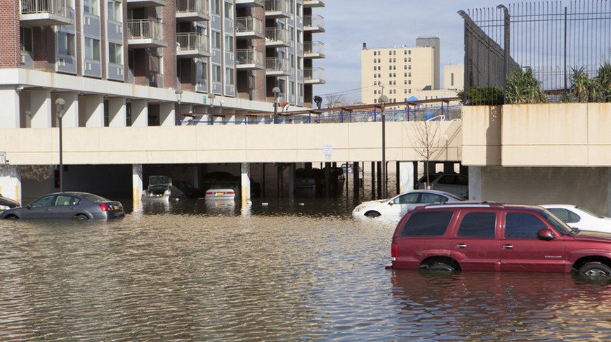 Фото Shutterstock/FOTODOM