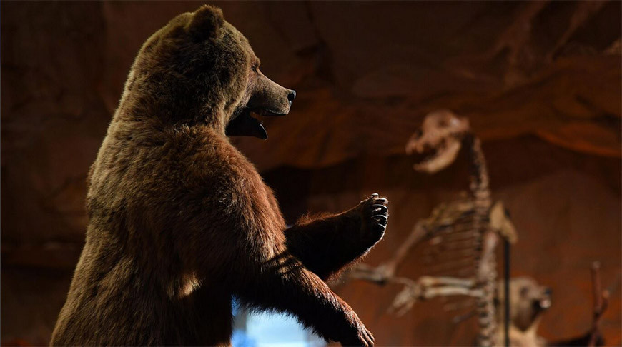 Фото  РИА Новости 