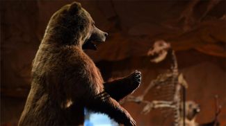 Фото РИА Новости