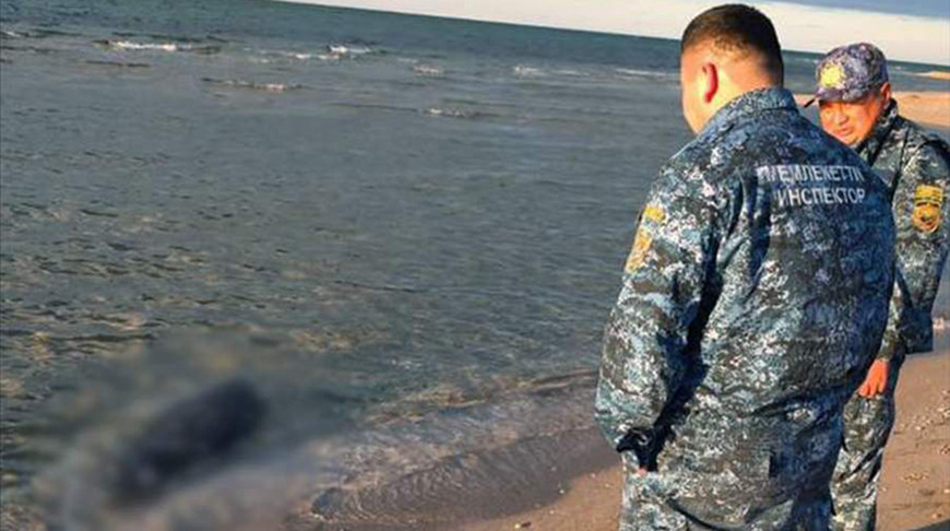 Фото департамента экологии Мангистауской области