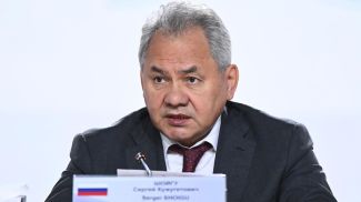 Сергей Шойгу. Фото из архива РИА Новости