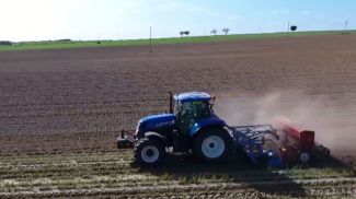 Скриншот видео телеканала СТВ