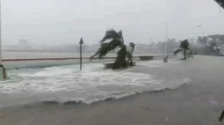 Скриншот видео Euronews